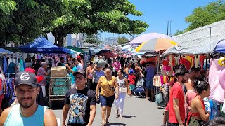 VEJA COMO FOI A FEIRA DA SULANCA DE CARUARUPE SEXTAFEIRA 24112023 [upl. by Novikoff383]