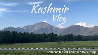 Kashmir Vlog  SriNagar  Sonmarag  Pehalgham [upl. by Elisee769]