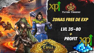 TIBIA  ZONAS FREE DE EXP Y PROFIT PARA LVL 35 HASTA 80 [upl. by Linneman]