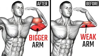 8 Best Biceps and Triceps Exercises for Bigger Arms AT GYM [upl. by Solotsopa]