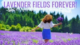 Oregon Lavender Festival 2019 at The Oregon Lavender Farm  My Oregon Adventures [upl. by Aerdna]