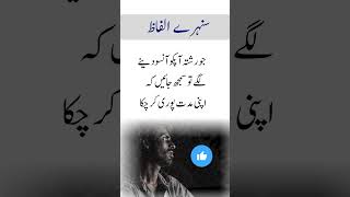 sunhri alfaaz  quotes islamicshorts poetry allamaiqbalpoetryinurdu shortsfeed urdupoetry [upl. by Junius]