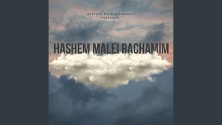 Hashem Malei Rachamim feat YIDDIE [upl. by Onaicilef]