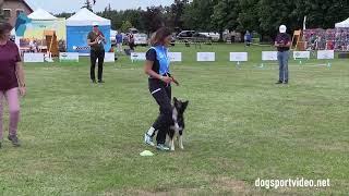 Qualifications – Emiliana Cirelli  Interforce Tsunami  Border Collie – ITALY [upl. by Eulalee]