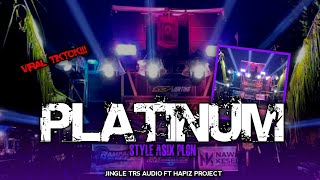 DJ PLATINUM VIRAL TIKTOK BASS HOREG BLAYER JINGLE TRS AUDIO FT HAPIZ PROJECT [upl. by Deck638]