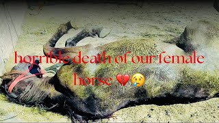 Sad NewsHorrible death of our Female horse😞💔Badal ny khana pena chor😢Punjabdyrung586 [upl. by Burnham318]