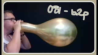 081  b2p 11quot chrome gold balloon Qualatex  blow to pop [upl. by Popper]