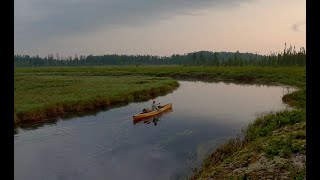 Solo summer canoe trip in the BWCA Wilderness 2024 Little Indian Sioux SOUTH entry [upl. by Lek]