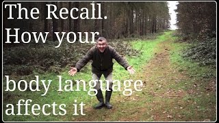 Dog Recall How Your Body Language Affects the Recall [upl. by Nirrol]