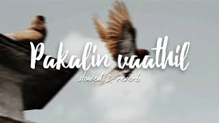 Parava  Pakalin vaathil  Sreenath bhasisushin syam slowed amp reverb [upl. by Wadleigh]