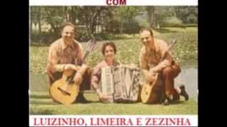 O MENINO CAÇADOR com Luizinho Limeira e Zezinha [upl. by Ivzt]