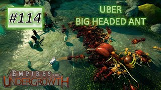 Empires of the Undergrowth 114 UBER Big Headed Ant VS Assassin Fire Ant [upl. by Bostow]