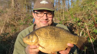 Crucian carp fishing BIG CRUCIANS [upl. by Aneehsor]