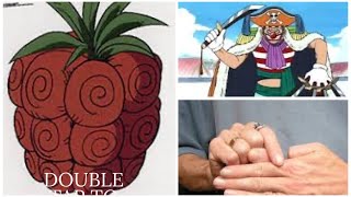 One piece chop chop fruit explained [upl. by Madoc968]