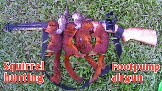 forest hunting  squirrel hunting  using footpump airgun  madaliang hunting [upl. by Cirek909]