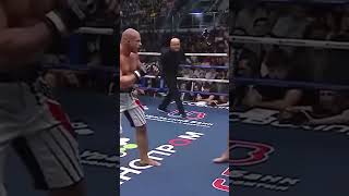 Butal Leg Kicks You Will Ever See  MMA Kickboxing amp Muay Thai Leg Kick Knockouts [upl. by Friederike21]