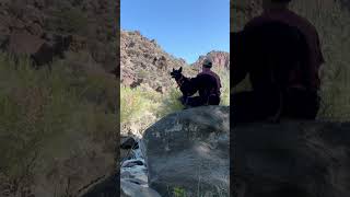 Meditation along the Rio Grande River dogs meditation riograndegorge [upl. by Angelina782]