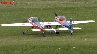 Turbine powered Twin YAK54  ProWing 2023 [upl. by Anaeerb657]