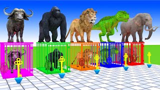 Cow Elephant Lion Dinosaur Gorilla Guess The Right Key ESCAPE ROOM CHALLENGE Animals Cage Game [upl. by Acilef]