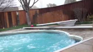 Hilarious diving board FAIL [upl. by Charleen]