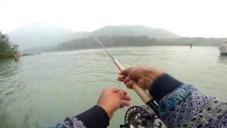 Spey fishing for pink salmon  Squamish riverebi fisher 5 AUG 2017 [upl. by Mccormick]