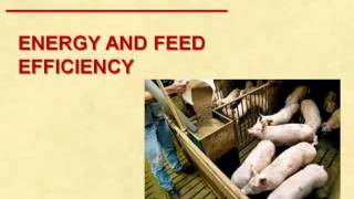 Dr John Patience  A Critical Look at the Science Underlying Feed Efficiency [upl. by Rother]