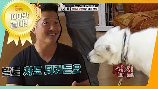 개는훌륭하다 quot이 정도로 오면 발로 차버려도 되거든요quot 강훈련사가 이토록 말한 이유는 🐶 스피츠진도 믹스견 하키ㅣKBS 220530 방송 [upl. by Torrin]