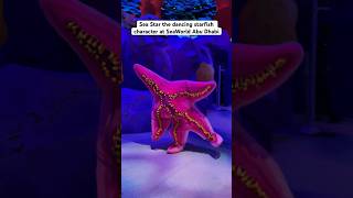 Sea Star the DANCING STARFISH at SeaWorld Abu Dhabi [upl. by Outhe]