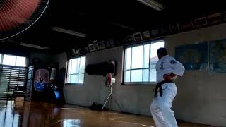 Seiunchin kata at the Isshinryu SoHonbu in Okinawa [upl. by Leakim]