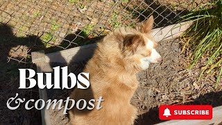 Planting Bulbs amp No Vermin Composting  HEATHERS GREENHOUSE [upl. by Caty]