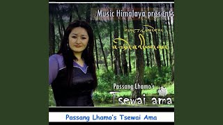 Acho Tsering Dhondup Tibetan Song [upl. by Dinesh648]