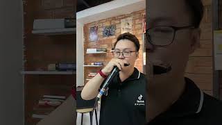 Ừ thì  Mew Amazing  Harmonica cover  Nghi Lăng  Suzuki Bluesmaster [upl. by Adelice164]