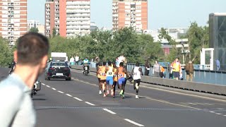 37 Beogradski maraton  START POLUMARATONSKE TRKE UĹ˝IVO [upl. by Matti583]