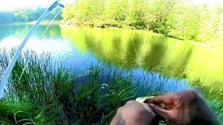 Babcock State Park  Fayetteville West Virginia  Large Mouth Bass Fishing [upl. by Htezzil]