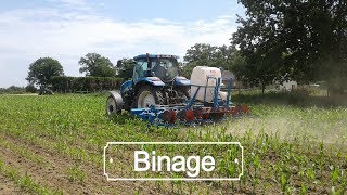 Binage  New Holland T6030 amp Désherbineuse Carré ECONET  2017 [upl. by Luedtke]