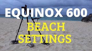 Our Beach Settings for the Minelab Equinox 600 Beginners Guide [upl. by Welker447]