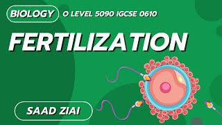 Fertilization  O Level  Biology Saad Ziai  SLATE [upl. by Aisak]