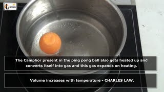 Charles law demo  Ping Pong ball experiment  Simple Science Experiments video [upl. by Arleta]