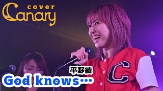 【cover】God Knows／平野綾 [upl. by Eugenio874]