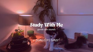 Study with me P  rain sounds  pomodoro timer  preparing for new academic year [upl. by Holofernes]