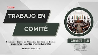 Sesión del Comité de Atención Orientación Quejas Ciudadanas y Asuntos Interinstitucionales [upl. by Ambert]