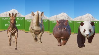 Race FourLegged Animals In Planet Zoo [upl. by Shargel]