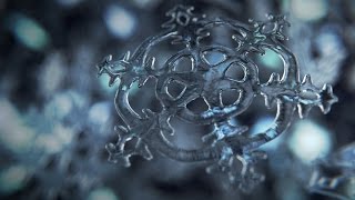 Blender Tutorial I Rendering a Snowflake in Cycles [upl. by Angy]