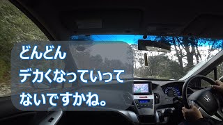 新型アコード、デカくないすか？ [upl. by Yirinec]