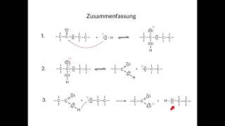 Esterhydrolyse  Mechanismus der Spaltung eines Esters [upl. by Lettie]