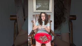 Shelling pecans pecan louisiana garden [upl. by Cori]