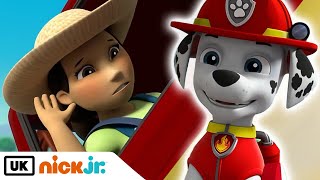 PAW Patrol  Pups Save A Cow  Nick Jr UK [upl. by Marlie]