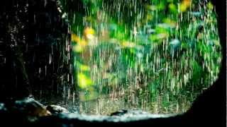 Rain Sound  quotMusicquot for Meditation  30 minutes [upl. by Prosperus]