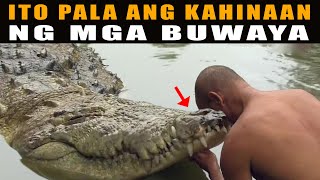 Ang Kahinaaan ng Buwaya  Weak Point of Crocodiles that Allows Everyone to Kill Them  Lolong [upl. by Ecinaej]