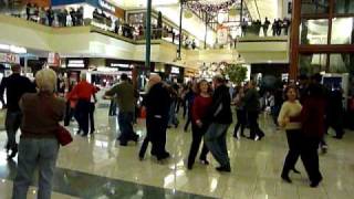 West Coast Swing Flash Mob at Buckland Hills Mall in CT Dec 11 2010 [upl. by Notyal233]